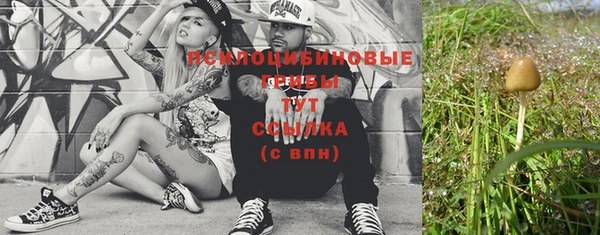 марки nbome Белокуриха