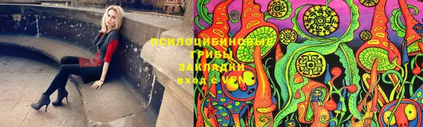 mdma Богданович