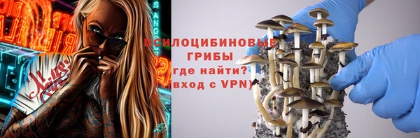 марки nbome Белокуриха