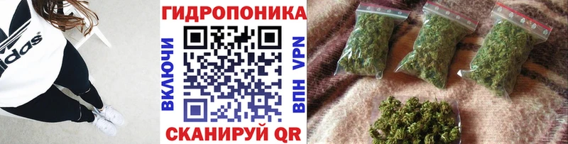 Каннабис семена  Михайлов 